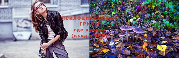 каннабис Белокуриха