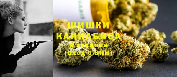 каннабис Белокуриха