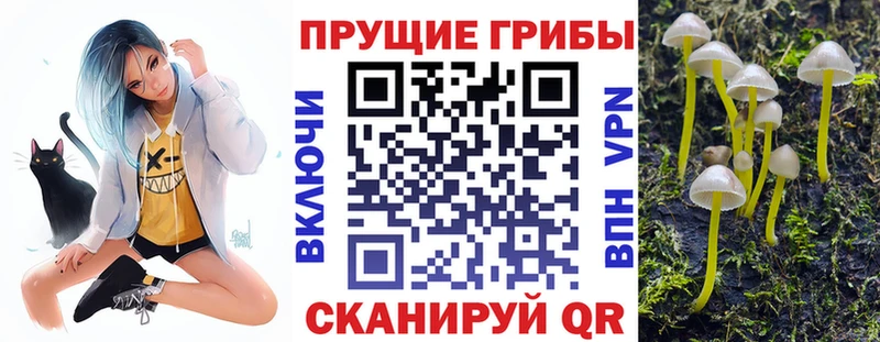 Галлюциногенные грибы MAGIC MUSHROOMS  Торопец 